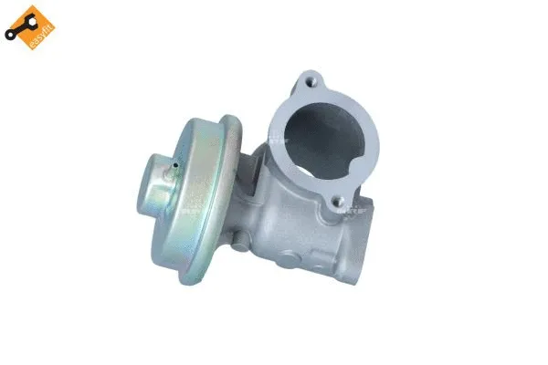 EGR Valve (48346)