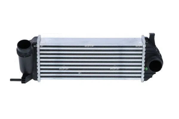 Charge Air Cooler (30962)
