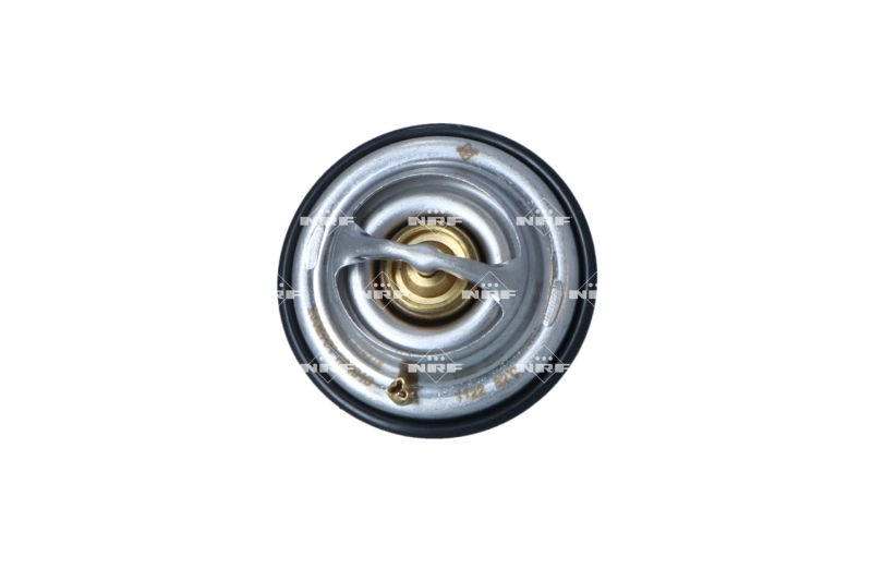 Thermostat, coolant (725315)