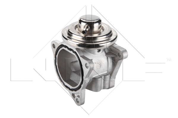 EGR Valve (48321)