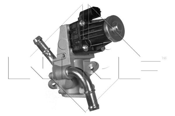 EGR Valve (48317)