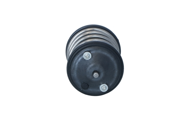 Thermostat, coolant (725274)