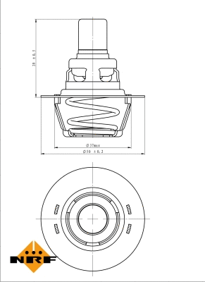 Thermostat, coolant (725141)