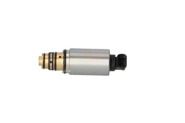 Control Valve, air conditioning compressor (38431)
