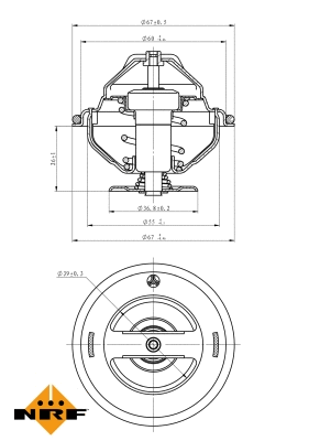 Thermostat, coolant (725063)