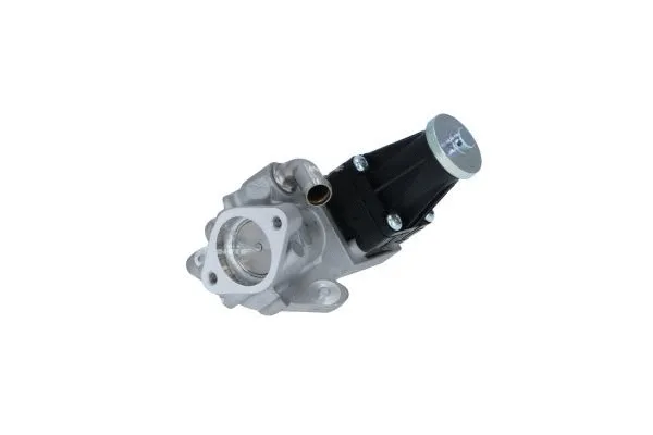 EGR Valve (48356)