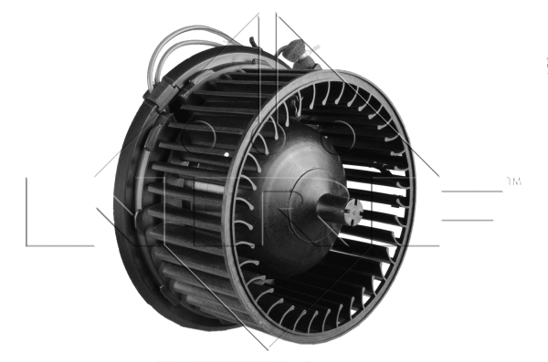 Interior Blower (34123)