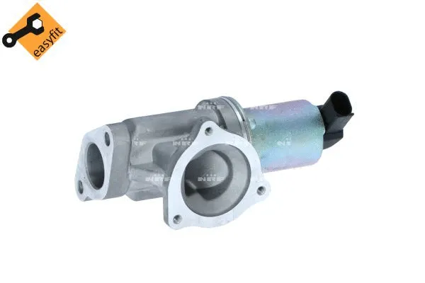 EGR Valve (48384)