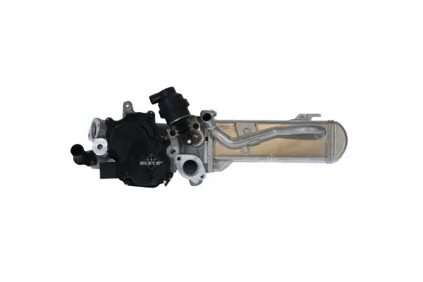 EGR Valve (48205)