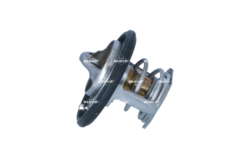 Thermostat, coolant (725305)