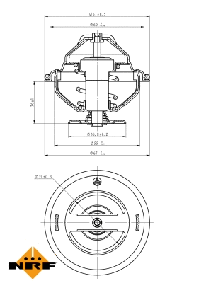 Thermostat, coolant (725098)