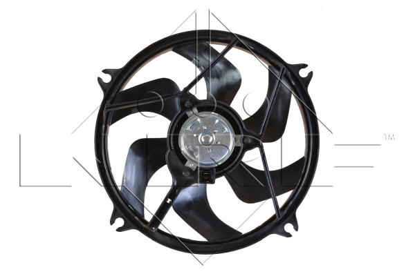 Fan, engine cooling
