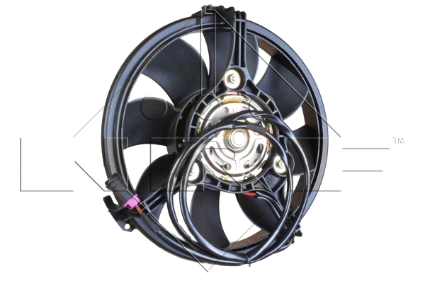 Fan, engine cooling