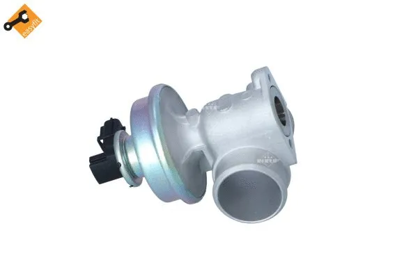 EGR Valve (48339)
