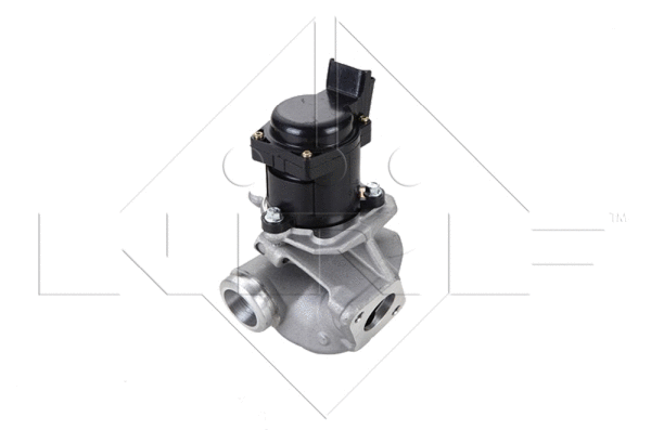 EGR Valve (48320)