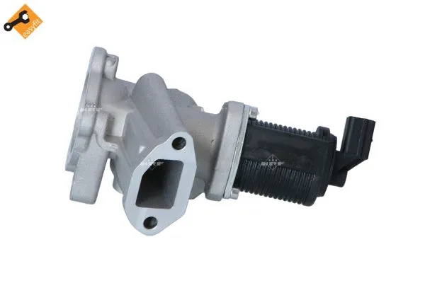 EGR Valve (48325)