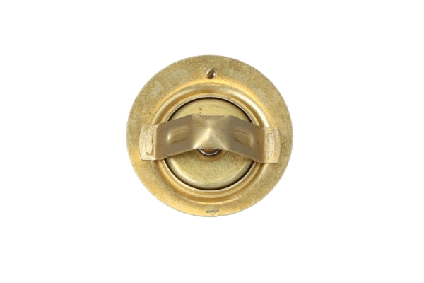 Thermostat, coolant (725259)