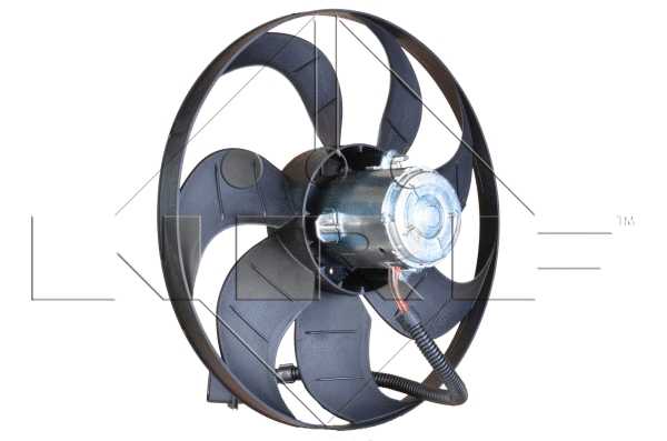 Fan, engine cooling