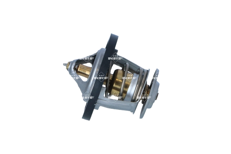 Thermostat, coolant (725302)