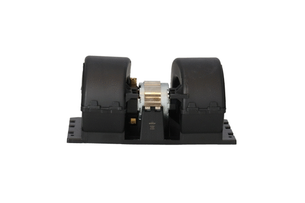 Interior Blower (34263)