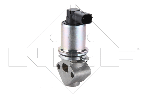 EGR Valve (48330)