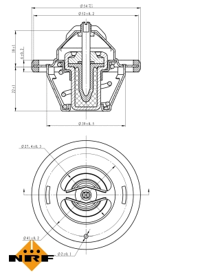 Thermostat, coolant (725066)