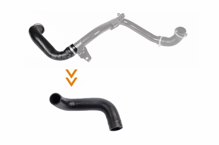 Charge Air Hose (166204)