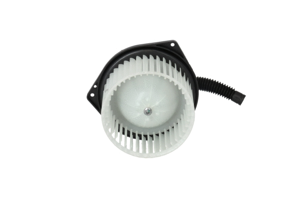 Interior Blower (34286)