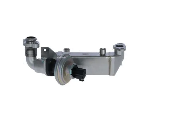 EGR Valve (48365)