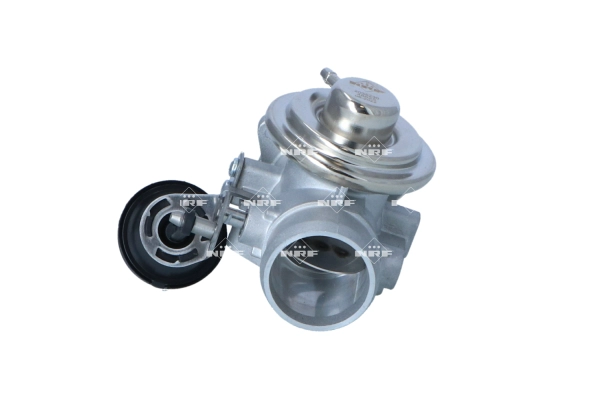 EGR Valve (48625)