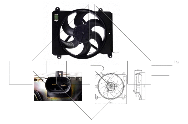 Fan, engine cooling (47255)