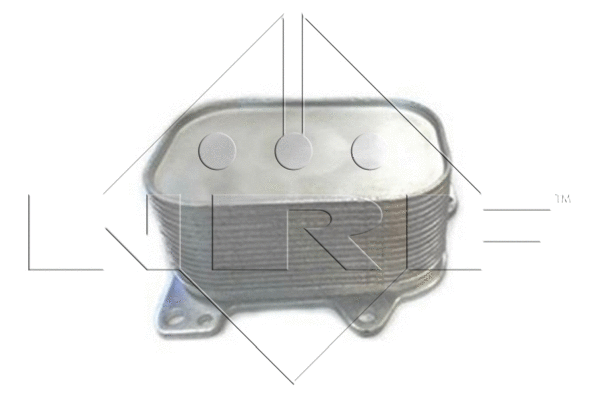 Oil Cooler, engine oil (31267)