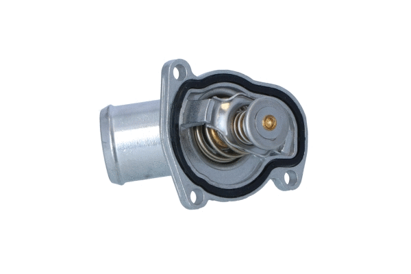Thermostat, coolant (725144)