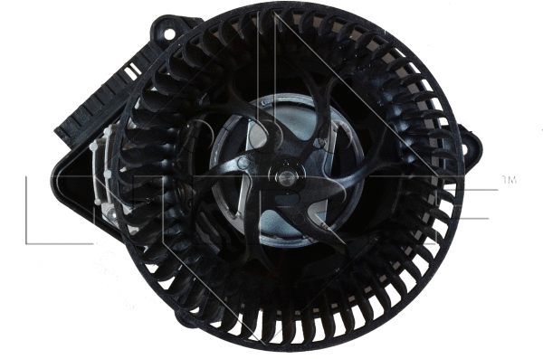 Interior Blower