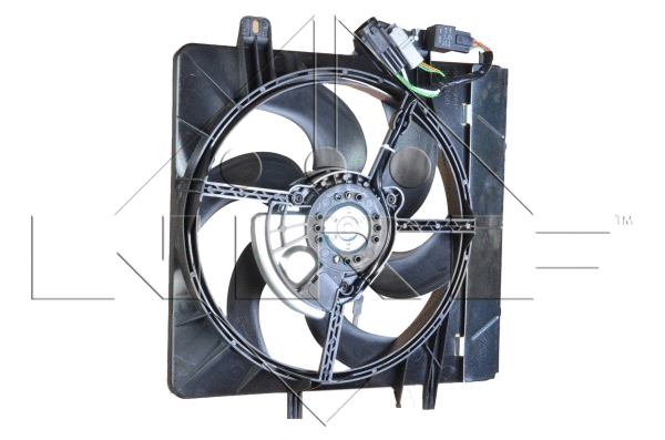 Fan, engine cooling