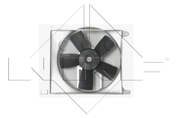 Fan, engine cooling