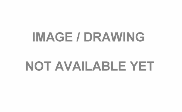 Radiator, engine cooling (550173)