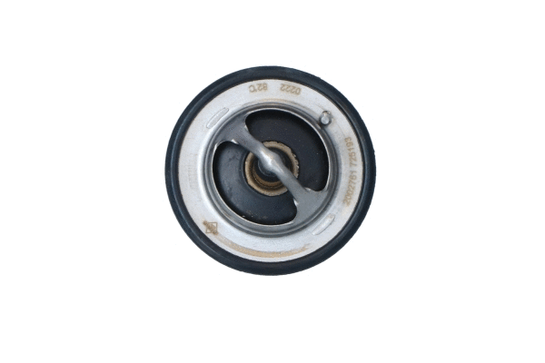 Thermostat, coolant (725193)