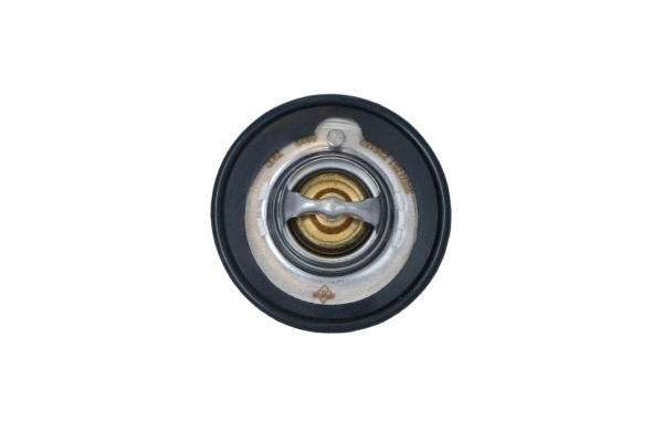 Thermostat, coolant (725152)