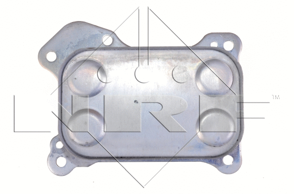 Oil Cooler, engine oil (31167)