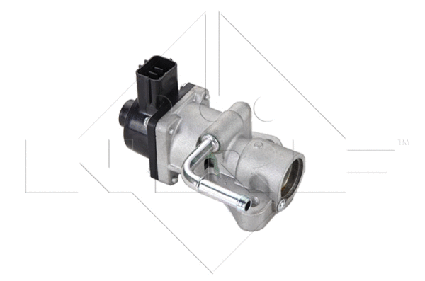 EGR Valve (48332)