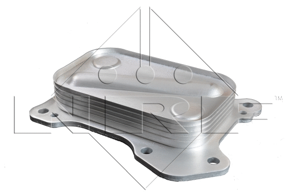 Oil Cooler, engine oil (31204)