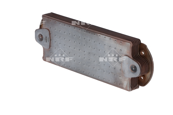 Oil Cooler, engine oil (31243)