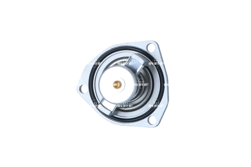Thermostat, coolant (725296)