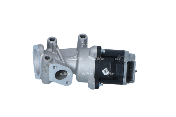 EGR Valve (48603)