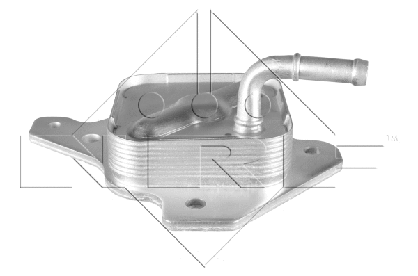 Oil Cooler, engine oil (31317)