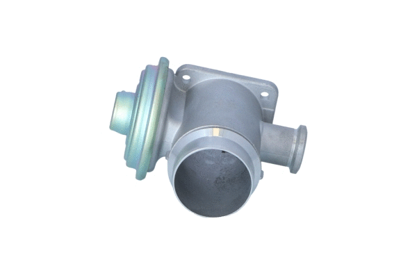 EGR Valve (48624)