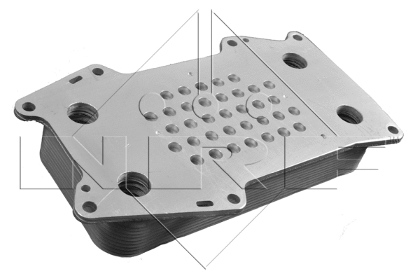 Oil Cooler, engine oil (31203)