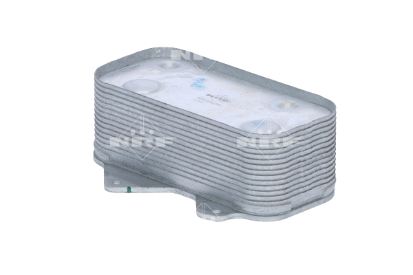 Oil Cooler, engine oil (31259)