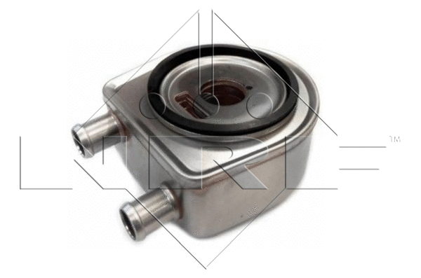 Oil Cooler, engine oil (31247)